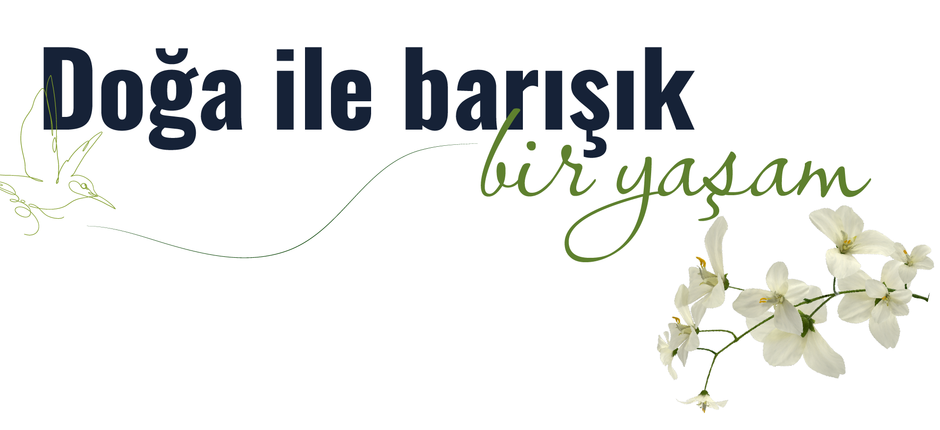 Doğa ile Barışık Başlık